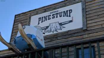 Pine Stump Junction