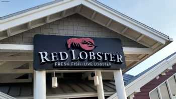 Red Lobster