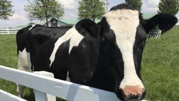 Country Dairy Farm Store