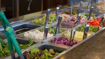 Leaf Salad Bar