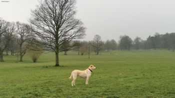 Cannon Hall Farm