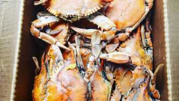 Margie's Crabs