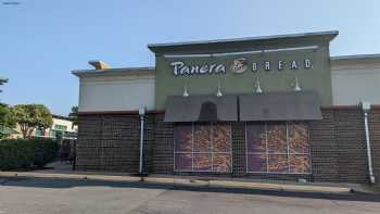 Panera Bread