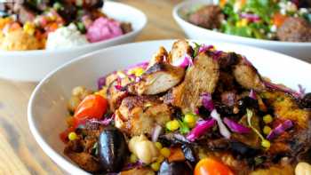 mezeh mediterranean grill (lake ridge)