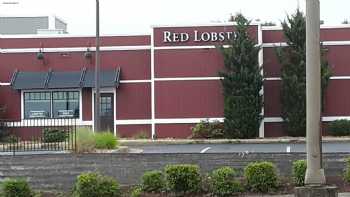 Red Lobster