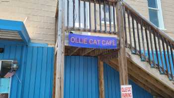 Ollie Cat Cafe