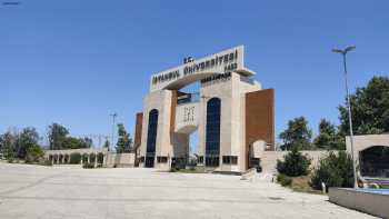 İstanbul Üniversitesi-Cerrahpaşa