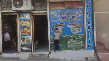 Alan Alabalık