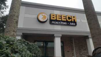 Beech