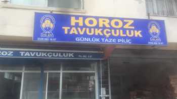 Horoz Tavukçuluk