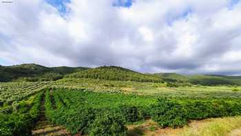 Ulu Tarım