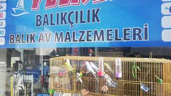 Yelken Balıkçılık