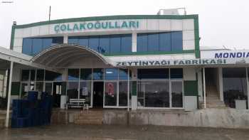 Çolakoğulları Zeytinyağı Fabrikası