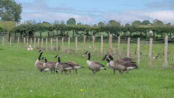 Sheep Pen Glamping