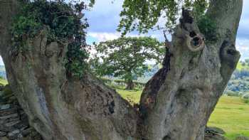 Sheep Pen Glamping