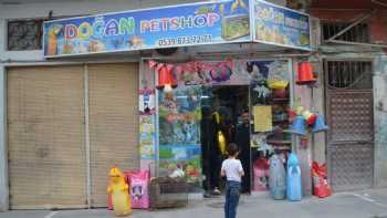 Doğan Petshop