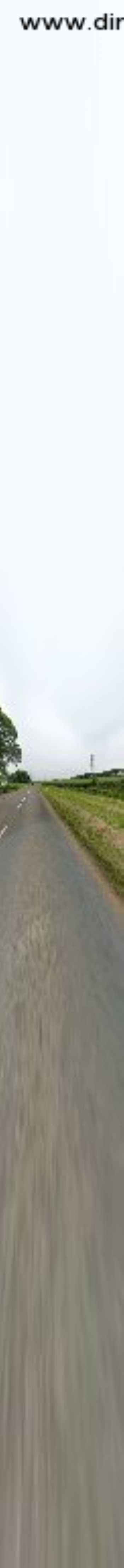 Dark Hedges Estate