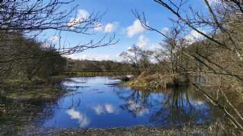 Ballylagan Organic Farm