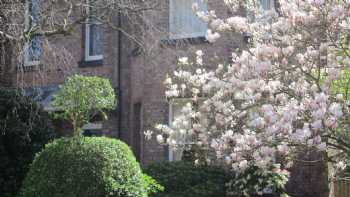 blossomhouseb&b sefton park