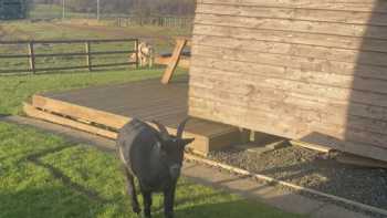 Hilly Cow Wigwams