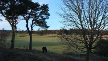 The Old Manse Bed and Breakfast