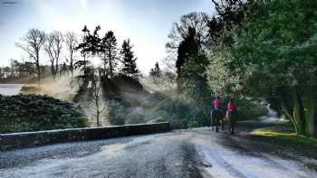 Arndean Cottages