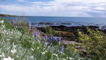 Troustrie House B&B Crail