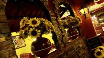 Girasol Family Mexican Restaurant & Cantina