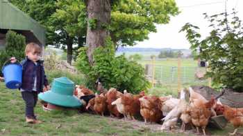 Newton Farm Holidays & Tours