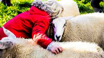 Newton Farm Holidays & Tours