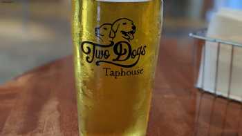 Two Dogs Taphouse