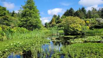 Glenwhan Gardens and Tearoom