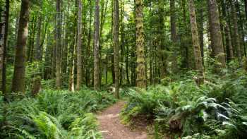 Mt Hood Village Campground