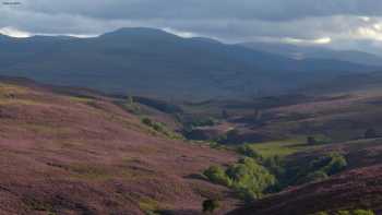 Bluefolds Highland Holiday Cottages