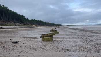 Riverside Caravan Park