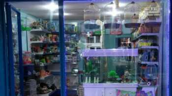 Çatalca Petshop