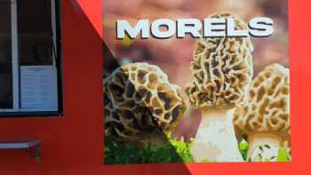 Morels