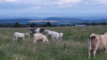 Caledonian Canal Studio