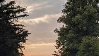 The Treehouses at Lanrick