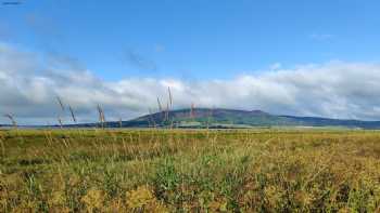 Caerlaverock Castle Corner Camp Site