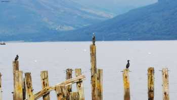 Holy Loch Holidays