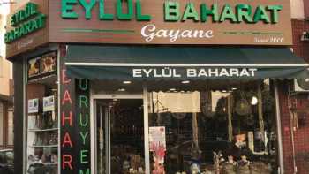 Eylül Baharat GAYANE