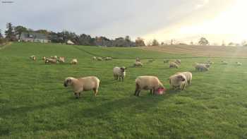 The Brand Family, East Fortune Farm