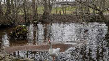 Delny Highland Lodges