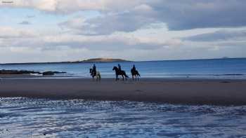 Leven Beach Holiday Park