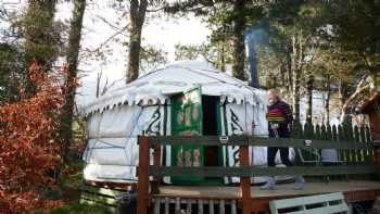 The Tall Pines Yurt