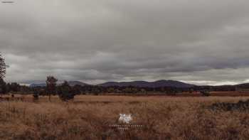 Highland Shepherd Huts