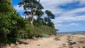 Old Aberlady Inn