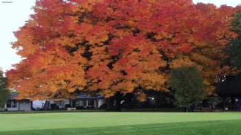 Woodburn Estates & Golf