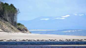 Tern Cottage Findhorn